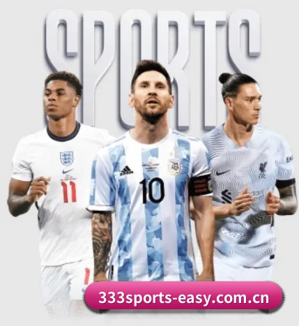 333体育 APP 界面